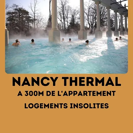 Appartement Le Grand Dupont Du Parc Ste-marie - Insolites Nancy